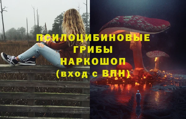 Альфа ПВП Балабаново